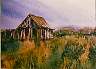 Watercolor of an old shack I founf one day while taking pictures of Mississippi country scenes.